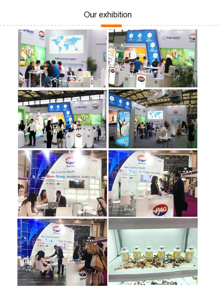 Exhibition Show