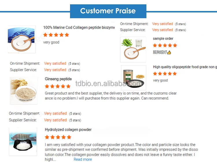Wholesale Supply Hydrolyzed Wheat Protein Peptide Powder Plant Supplement Halal Certified Health Food Grade Vacuum Packed
