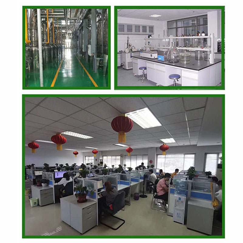 Factory Supply Food Grade Hydrolyzed Canola Protein Powder Hydrolyzed Canola Protein Isolate Powder