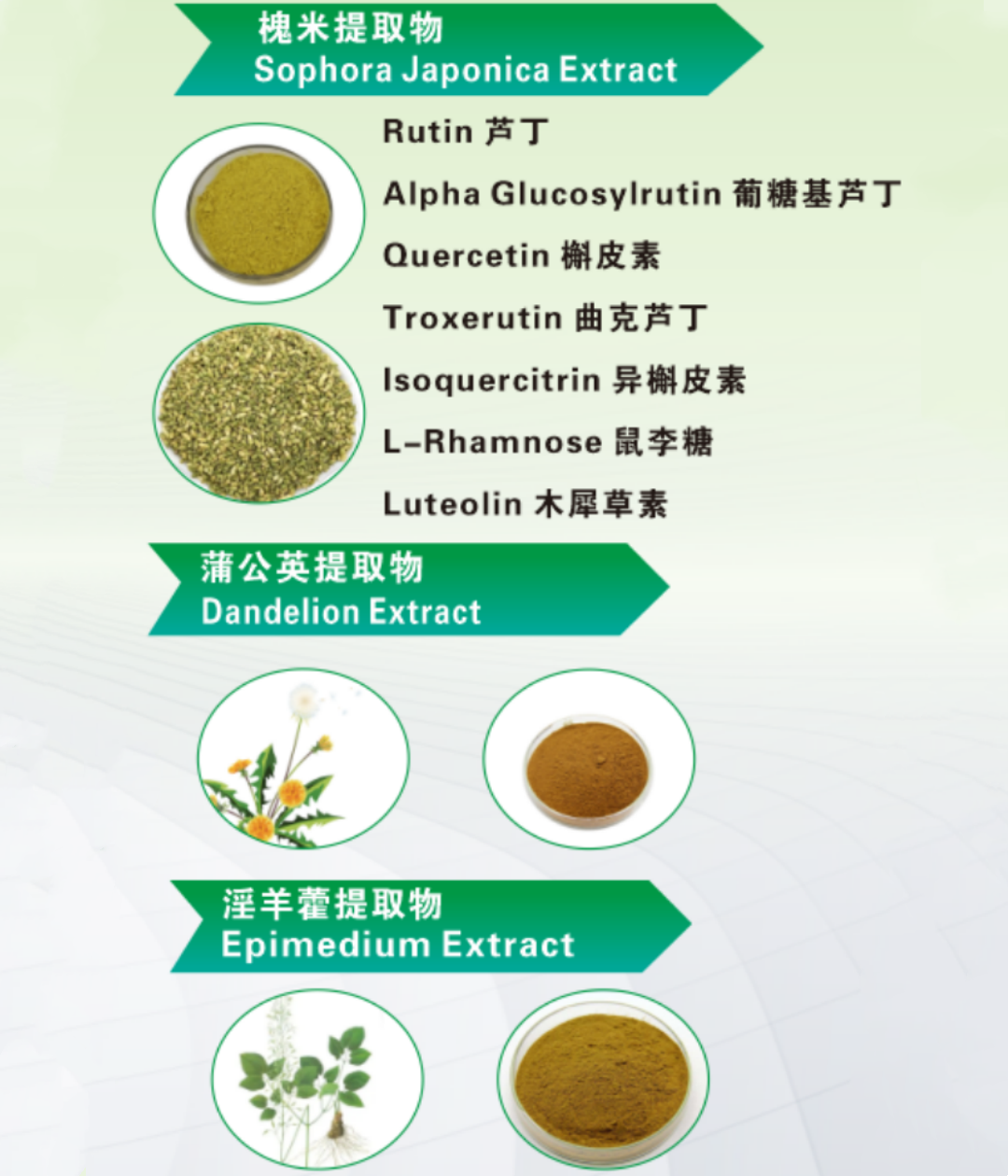High Quality Mung Bean Protein