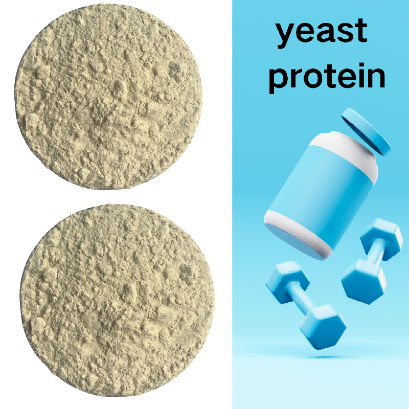 Yeast Protein F88MC Refined Fermented Protein Used in Medical Supplement Probiotic Formula and Health Care