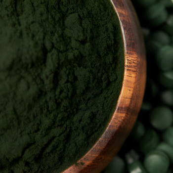 Bulk Export Spirulina Powder 1kg Packs Premium Grade High Protein 60% Superfood Blue Green Algae Keto Friendly