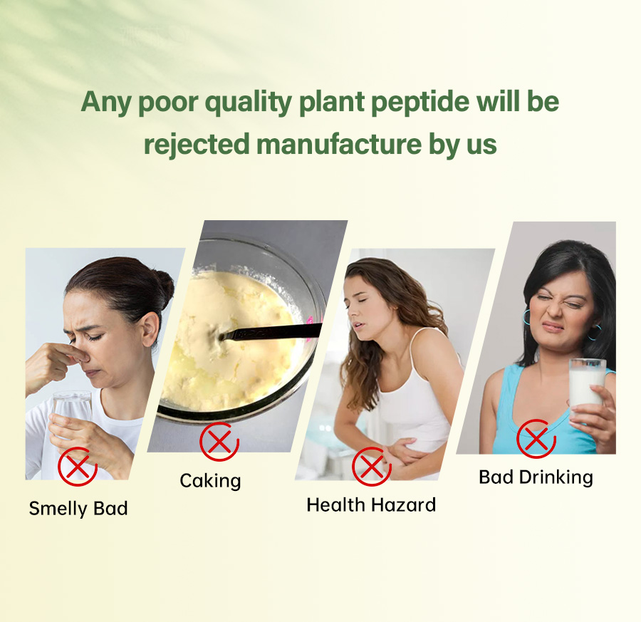 Pea Protein Peptide Display 1