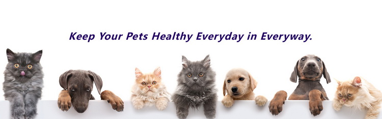 Pet Supplement Pure Hemp Essential Oil Drops Private Label for Sale