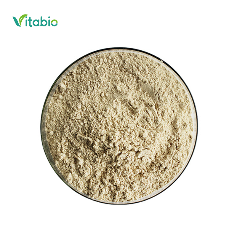 Organic Chickpea Protein Isolate Powder Chickpea Protein Powder Chickpea Powder