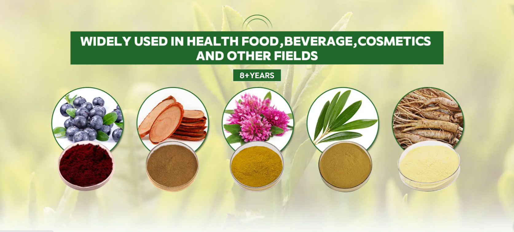 Product Banner