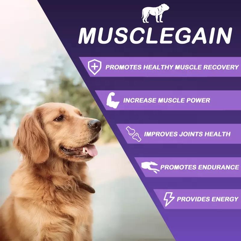 Custom All in One Dog Muscle Bully Gain Supplement Boosts Energy High Whey Protein Dog Health Care Supplement