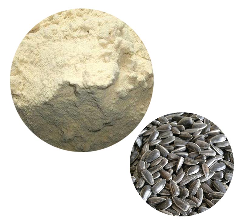 Production Process 2
