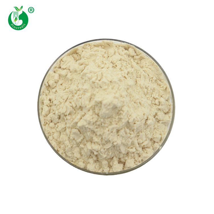China Supplier Pincredit Wholesale Price High Quality Oatmeal Beta-Glucan Oat Protein Powder