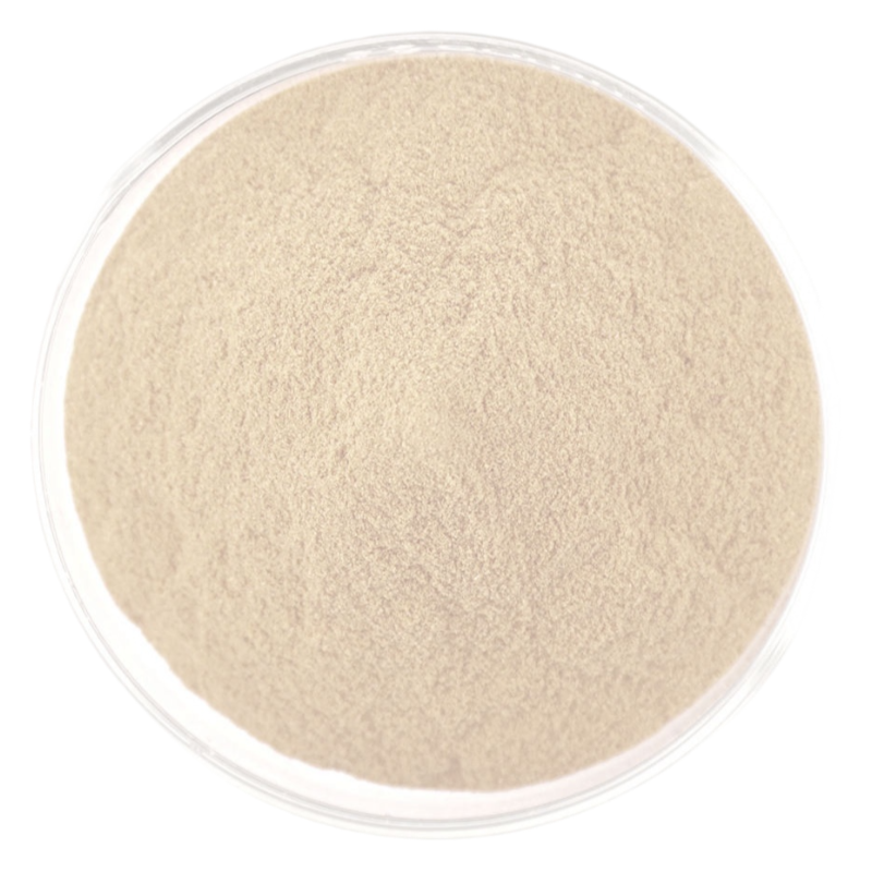 Food Grade Organic Chickpea Protein 80% Chickpea Protein Powder Chickpea Powder
