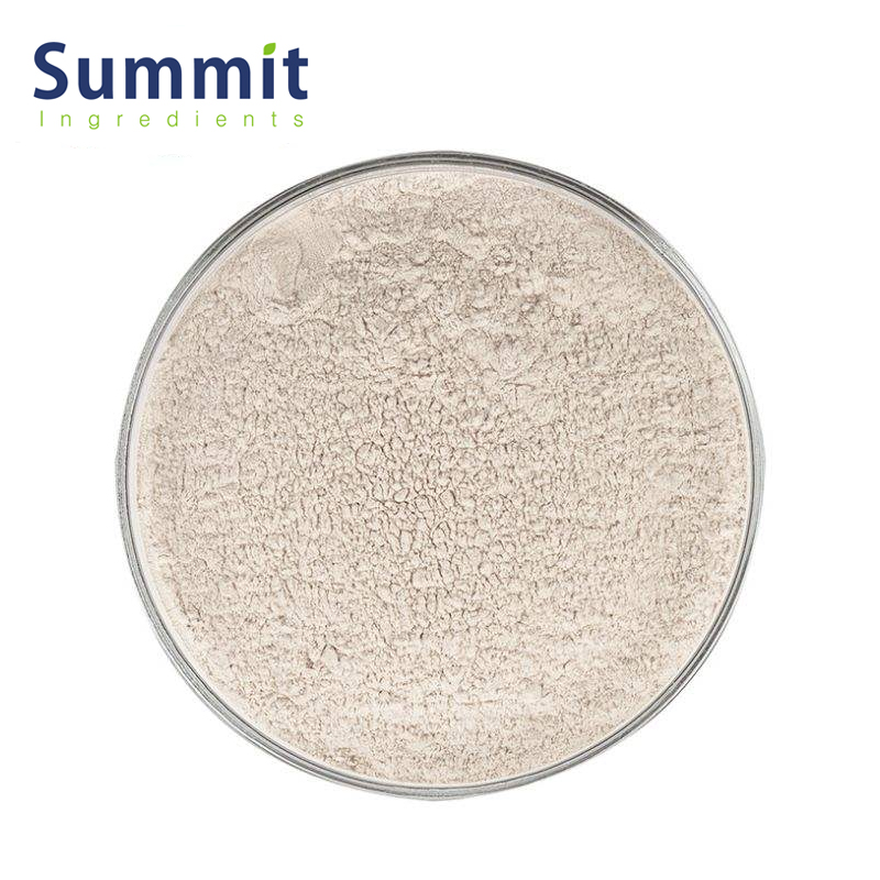 Hydrolyzed Rice Protein Powder Natural Isolate Concentrate Food Grade 80% 90% Rice Protein