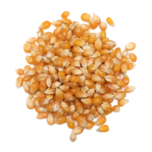 High-Protein Organic Yellow Maize Corn Animal Feed for Cattle Packaged for Sale with 12% Moisture and 12-18 Months Shelf Life