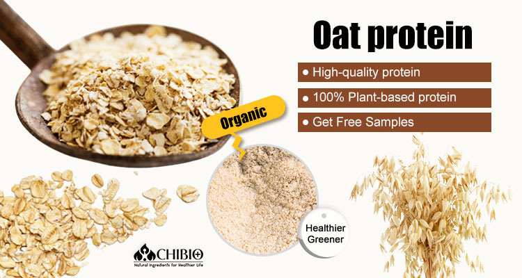 Organic Oat Protein Powder