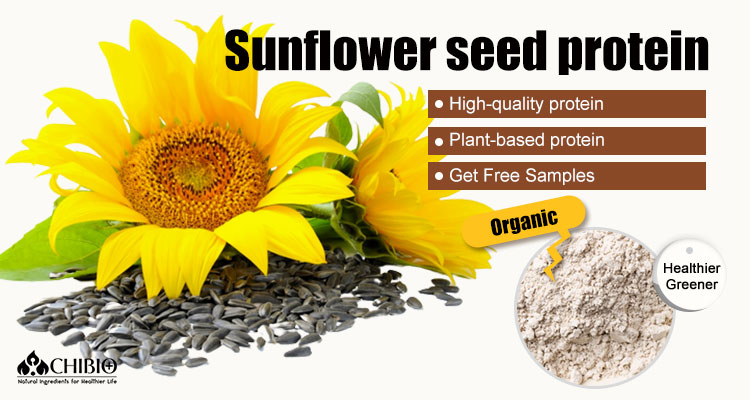 Sunflower Seed Protein Powder