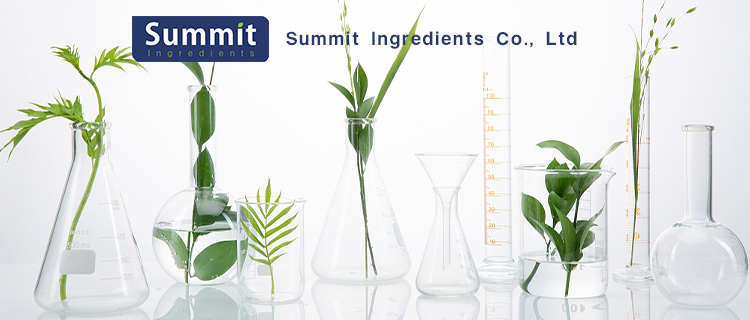 Rice Protein Banner