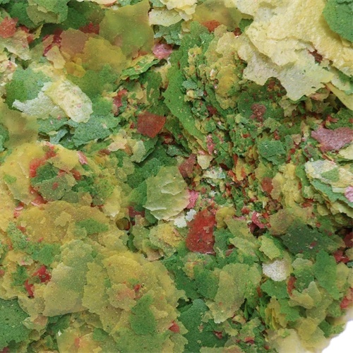 Eco-Friendly Fish Meal Aquarium Food Spirulina Flakes Premium High-Protein Digestive Health 3-Year Shelf Life