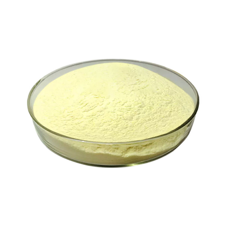 Wholesale 99% Protein Zein Corn Protein Powder Food Grade