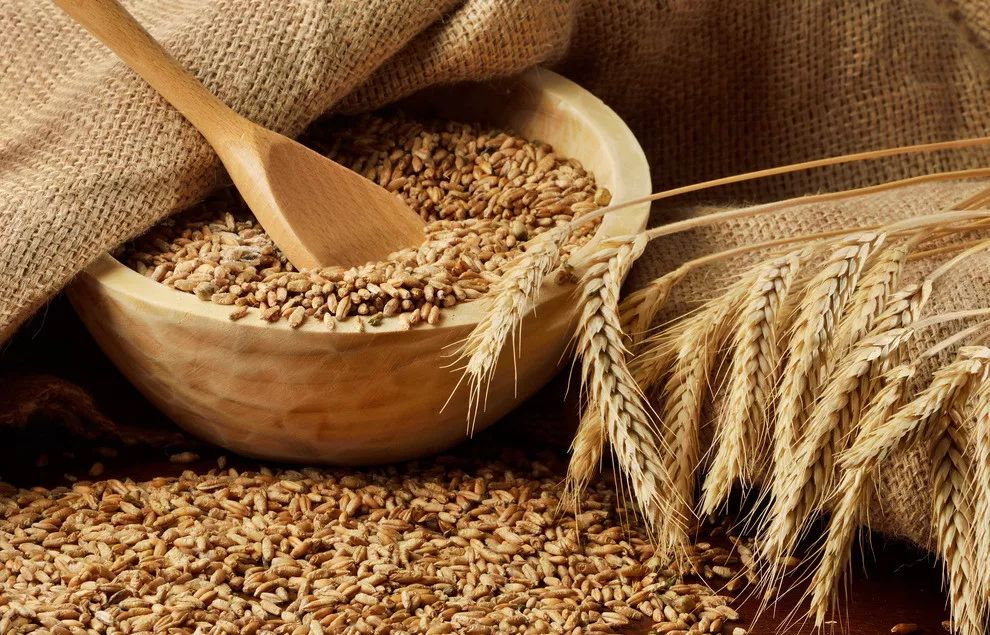 Oat Glucan