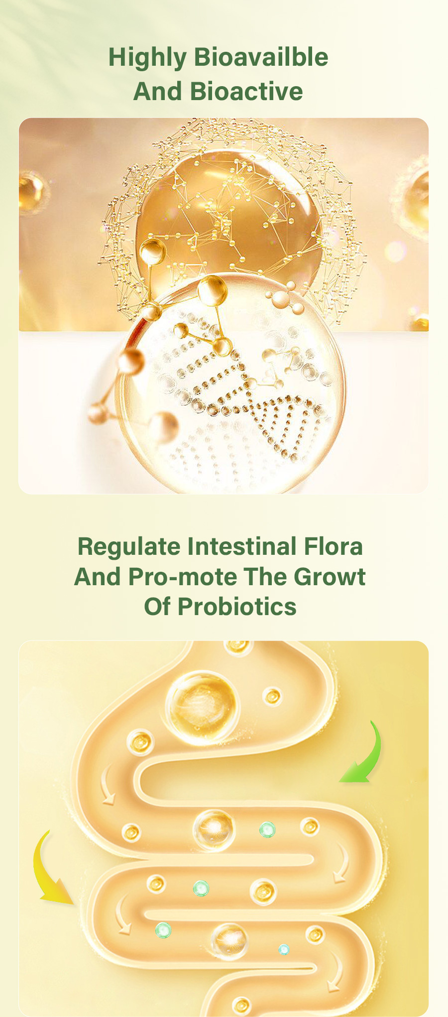 Pea Protein Peptide Display 3
