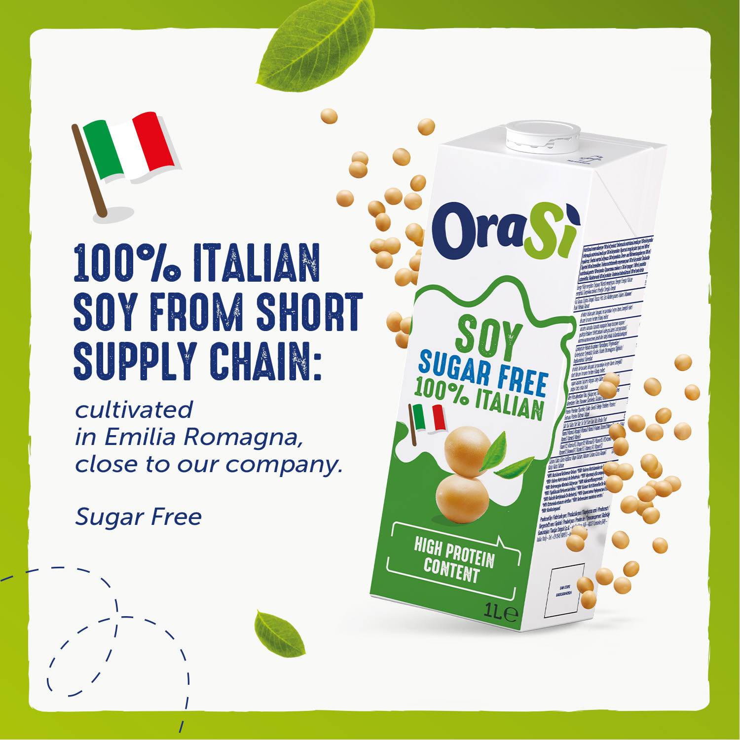 OraSi Plant Based Soy Drink Sugar Free 100% Italian High Protein Healthy Drink Content 1 Liter 12 Units
