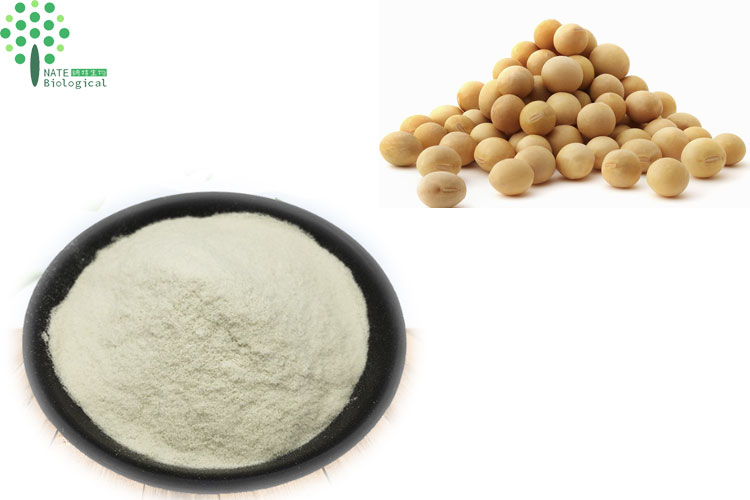 Soybean Peptide Powder Product View