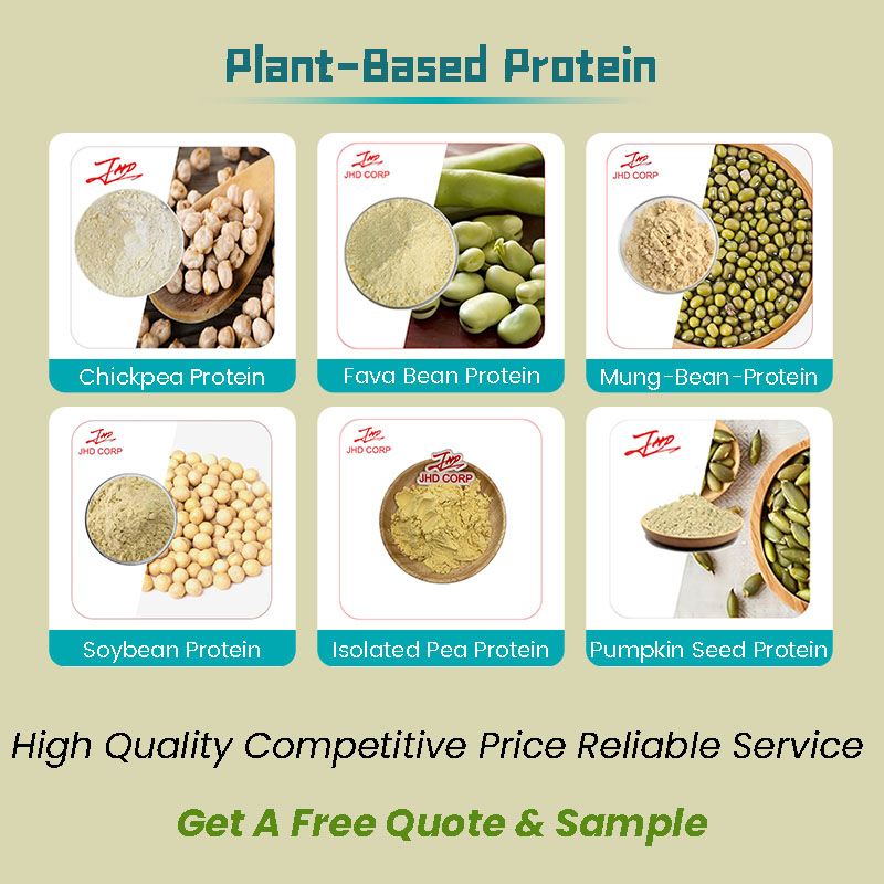 US/EU Warehouse Wholesale Food Grade Vegan 60% Sunflower Seed Protein Powder Drum Vacuum Packed