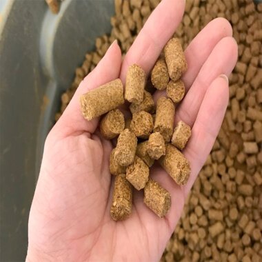 Excellent Quality Premium Grade Canola Meal From Thailand-Multiple Uses Available For Sale