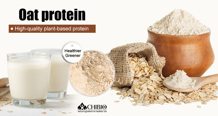 Oat Protein Benefits