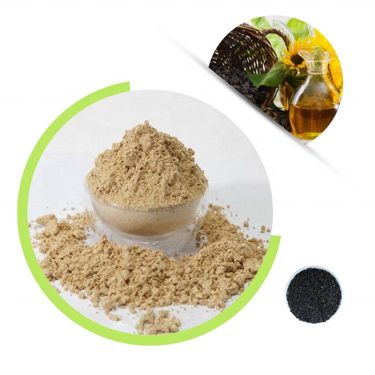Organic Seed Protein Gluten Free Non-GMO Dairy Free Soy Sugar Free Low Carb Plant Based Sunflower Protein Powder