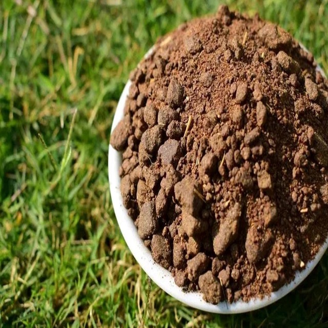 Rapeseed Meal Bulk