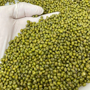 Premium Quality 50kg Dried Mung Beans High Protein Nutrient-Rich &amp; Versatile for Cooking Viet Fargimex