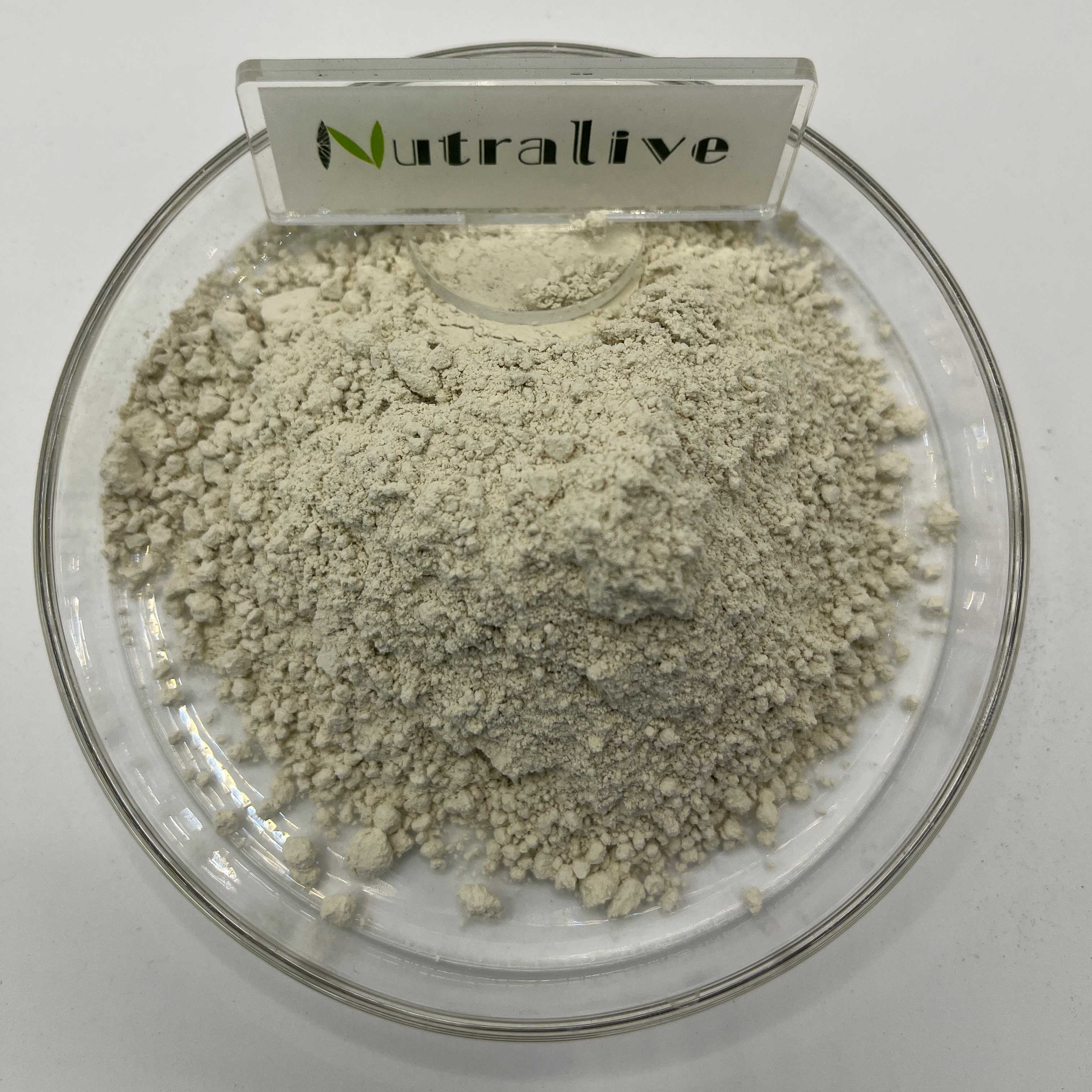 Food Grade Health Supplement Supply Protein Powder 100% Natural Plant Extract Organic Sunflower Seed Oil Powder
