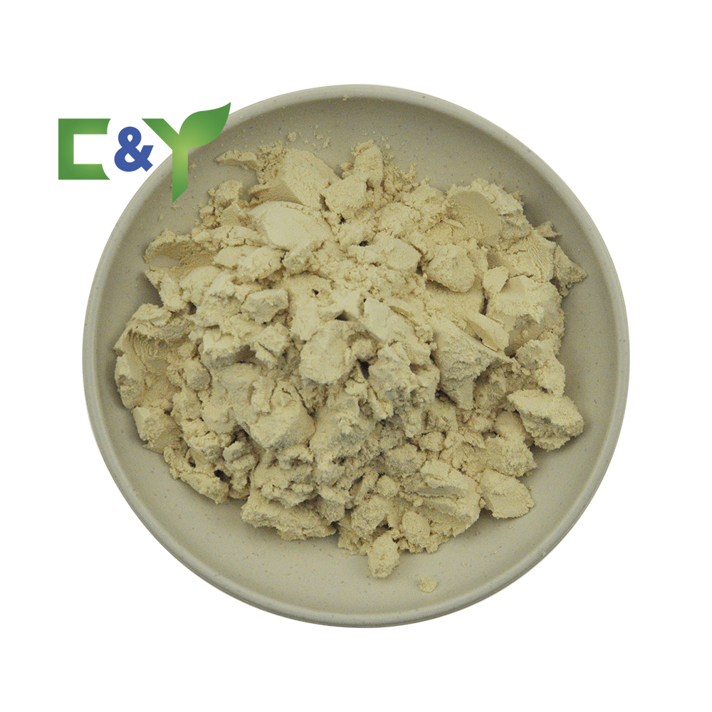 Top Quality Natural Plant Pea Protein Powder Fermented Pea Protein Plant Pea Protein Powder