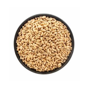 Premium Fresh Wheat Whole Grain Durum Non-GMO High Fiber High Protein Carbohydrates Healthy Food Export Quality Ingredient