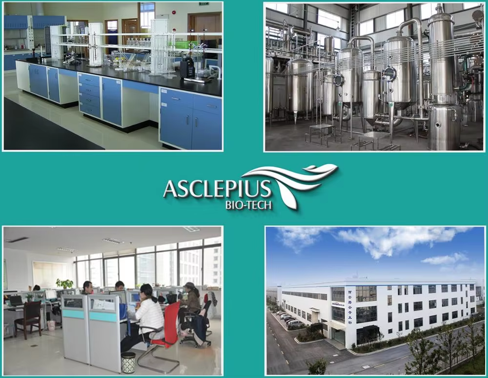 Manufacturer Supply High Quality Potato Protein Powder Premium Plant Extract
