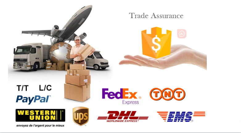 Our Services Info