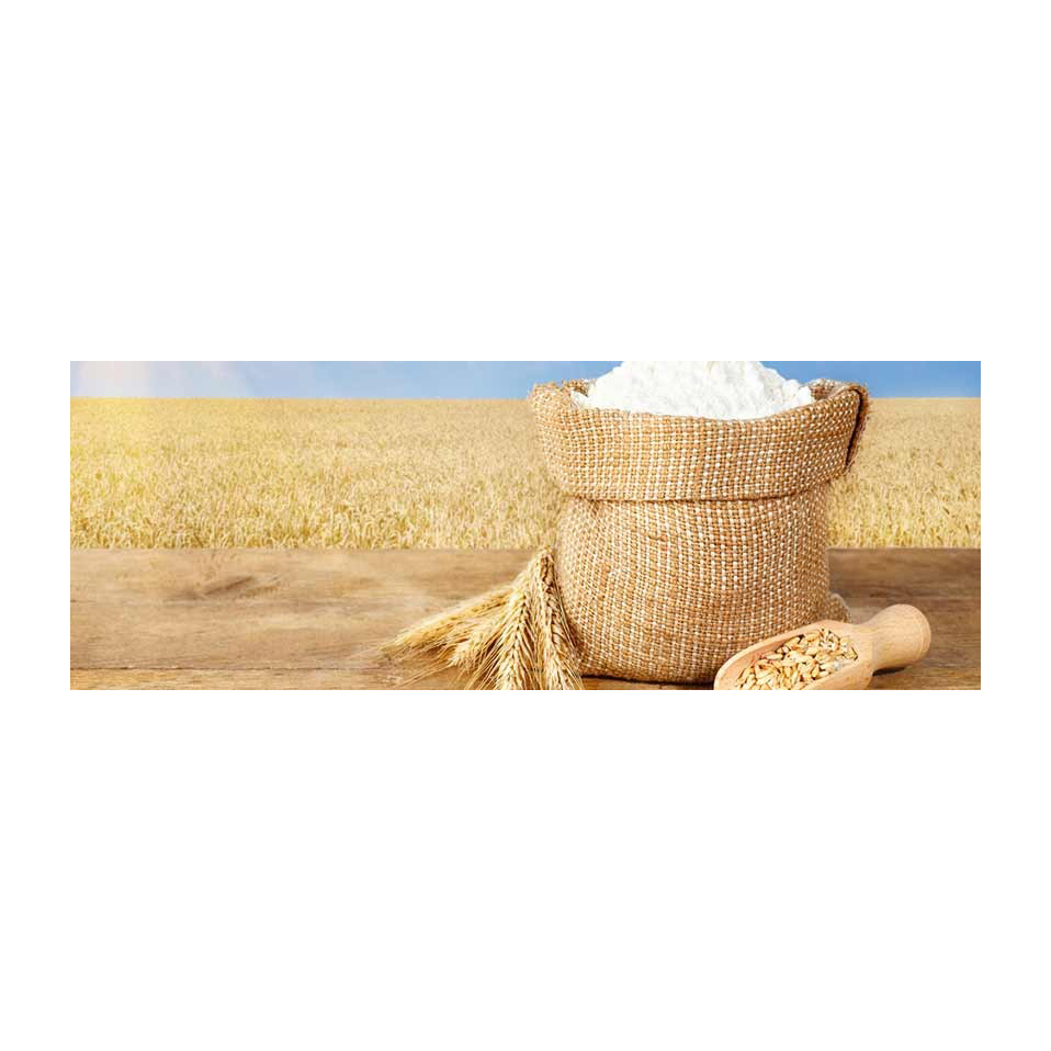 Bulk Selling Pure Protein Best Quality Organic Natural Wheat Bran Ready for Animals Feeds 1st Grade