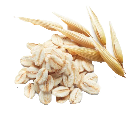 Best Price Powder Oats Oat Protein Powder Oat-milk-powder