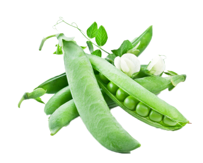 Top Quality Natural Plant Pea Protein Powder Fermented Pea Protein Plant Pea Protein Powder