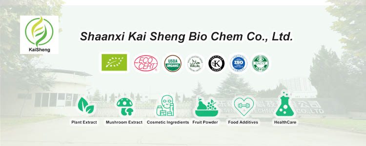 Oat Protein Powder Banner