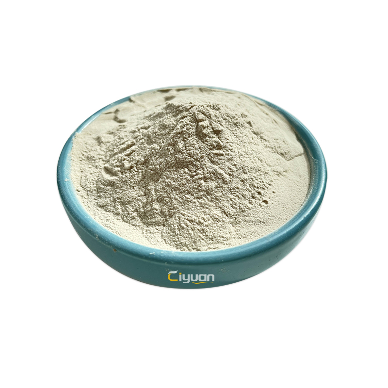 Ciyuan High Quality Natural Best Price Complete Proteins Rice Protein Powder