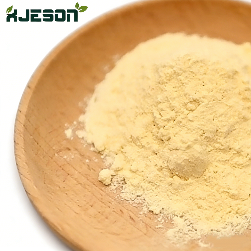 Food Grade Pure Nature Extract Zein Powder Zein Protein Corn Protein Powder