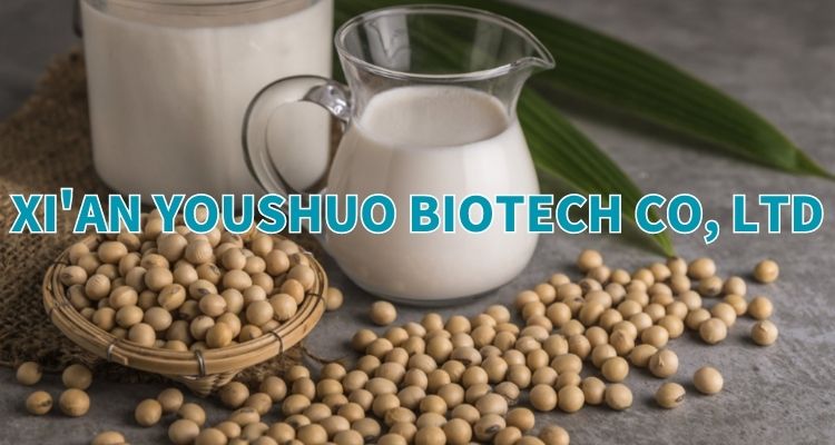 Sunflower Seed Protein Banner