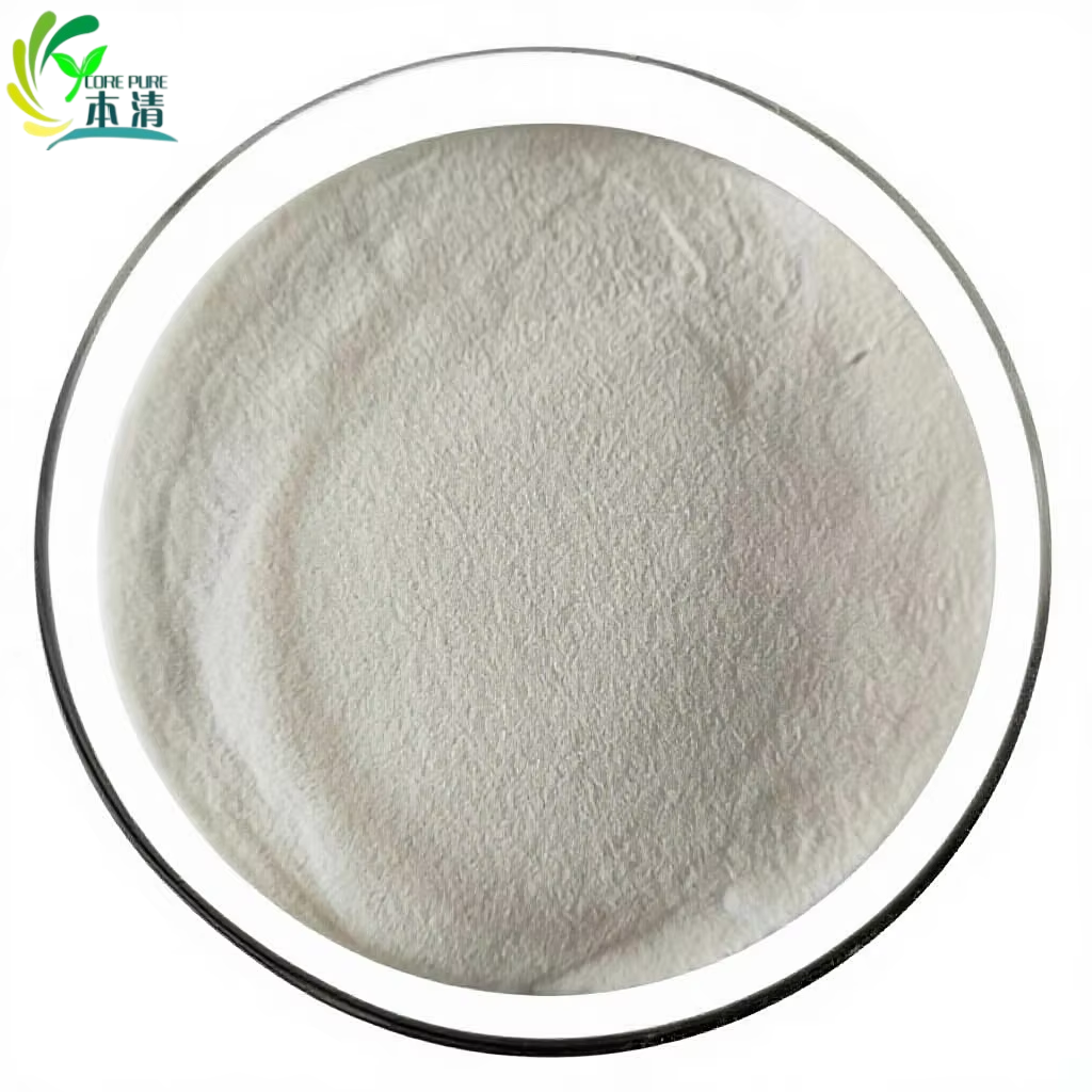 Wholesale Price Food-grade Supplement 80% Chickpea Protein Powder in Bulk Packaging