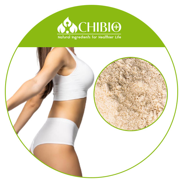 Oat Protein Powder Details