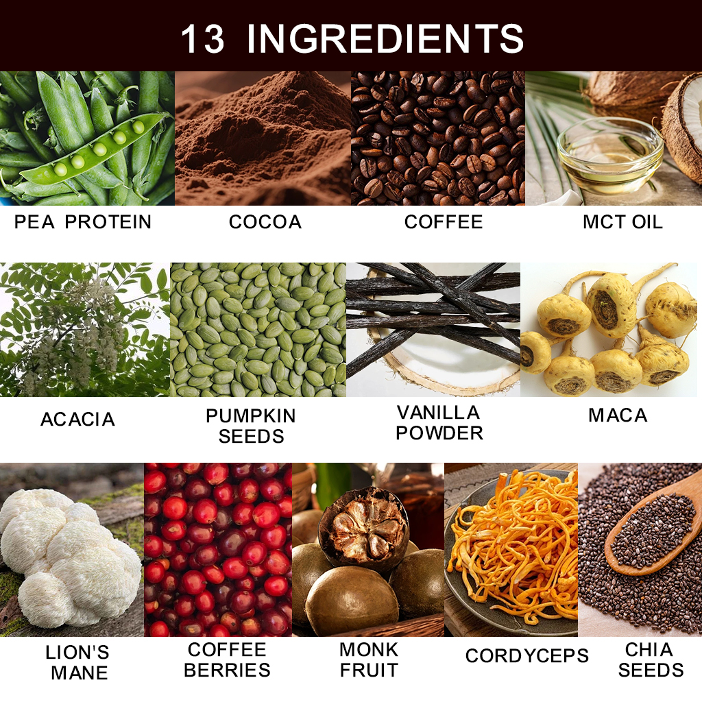 OEM Private Label Plant-Based Protein Powder Energy Support Vegan Protein Powder Supplement Natural Powder