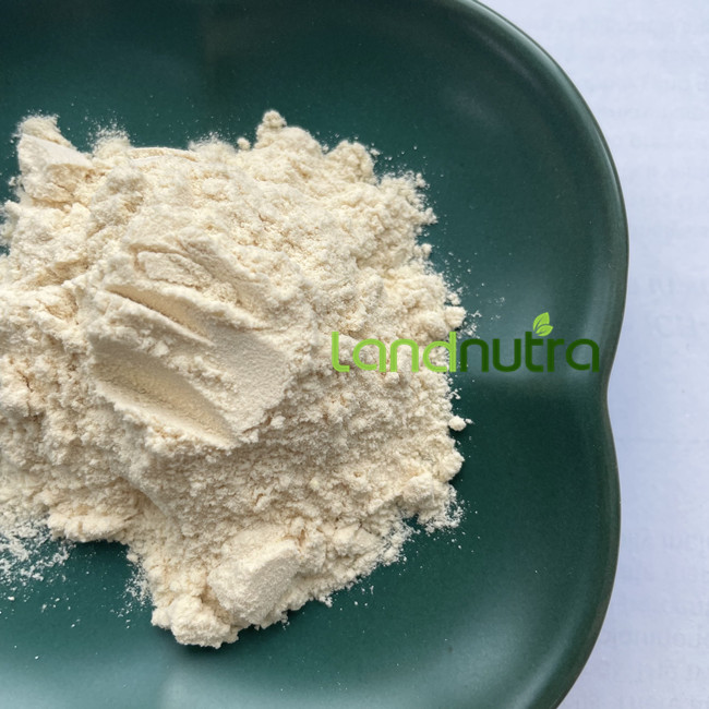 100% Organic Mung Bean Protein Powder High Quality Mung Bean Protein Isolate