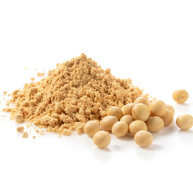 Richtek Hot Sale Gold Standard Isolated Extract Organic Food Grade Soy Bean Protein Powder With Free Sample for Food Additive