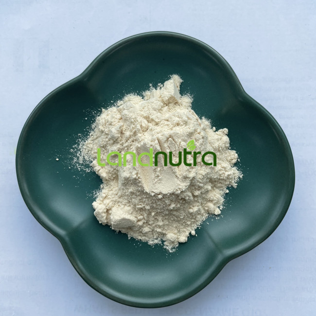 Organic Mung Bean Protein Isolate Detail 1