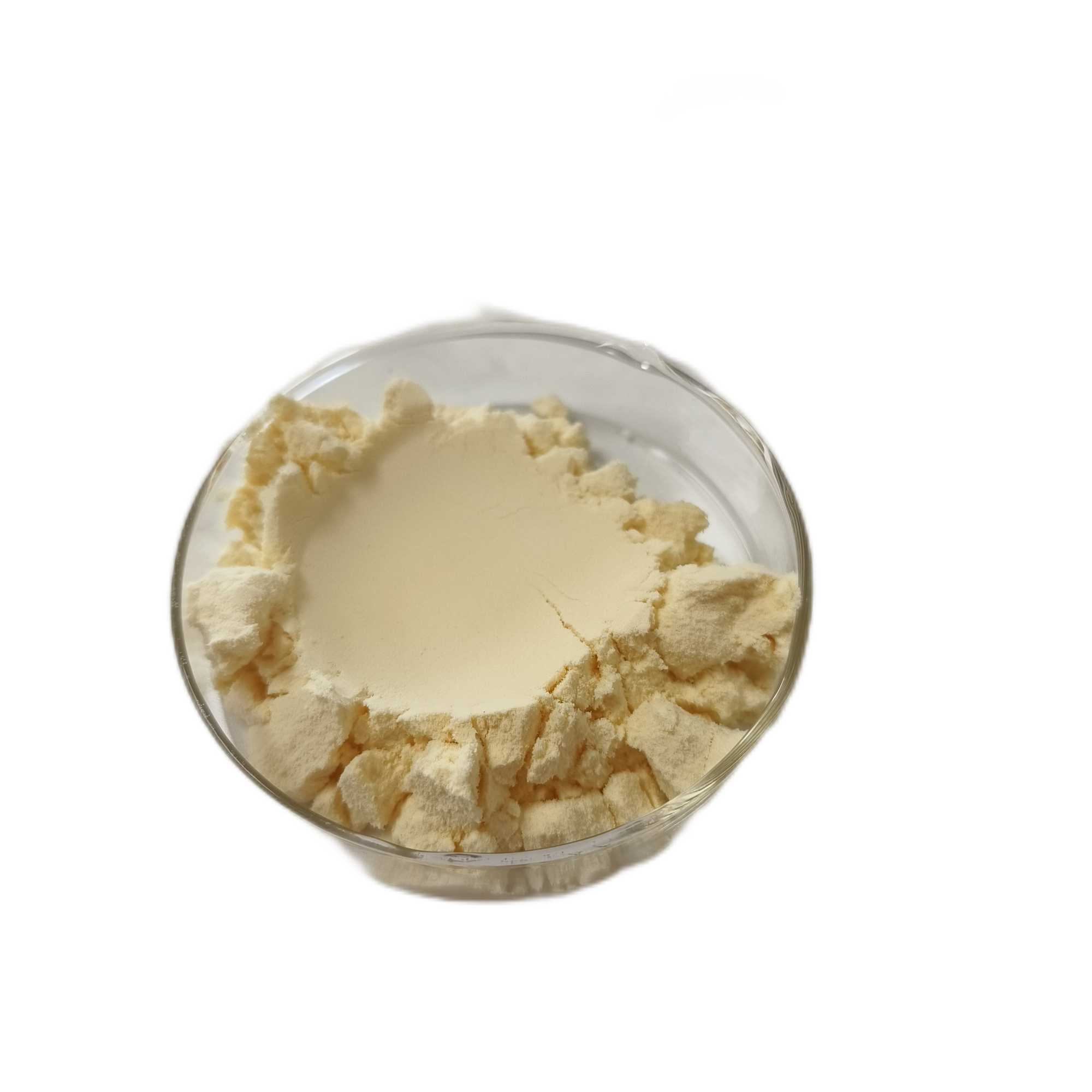 Factory Supply Chickpea Protein Isolate Powder for Food and Beverage